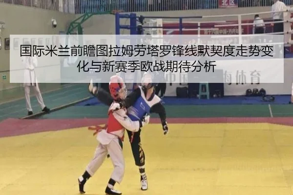 国际米兰前瞻图拉姆劳塔罗锋线默契度走势变化与新赛季欧战期待分析